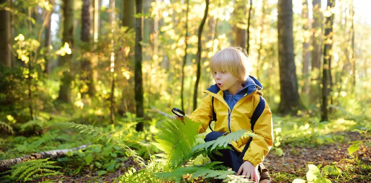 The Power of Nature-Based Education: Outdoor Learning Drives Academic Improvement